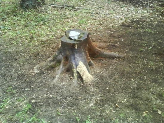 čistenie a doplnenie soľníka