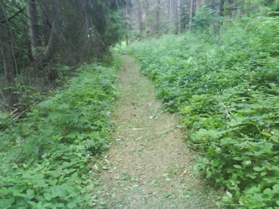 kosenie chodníka...