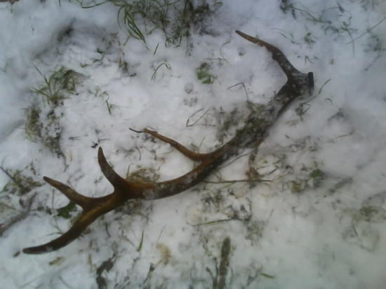 Aj v novembri sa pošťastí...   :D :D