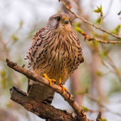 V posledných lúčoch slnka.