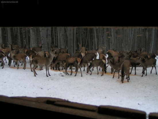 Muránska planina 2006