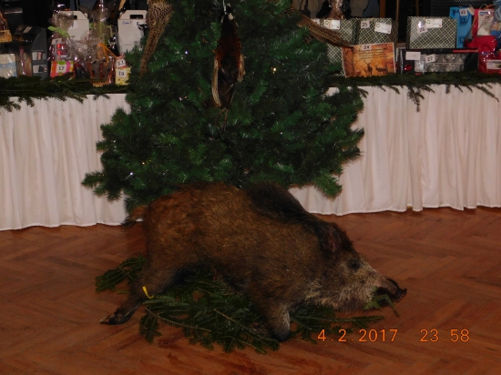 Ples PZ Skerešovo II