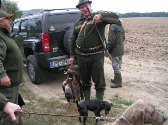 Lov na kačice: 150výstrelov/5 kačíc