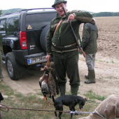 Lov na kačice: 150výstrelov/5 kačíc