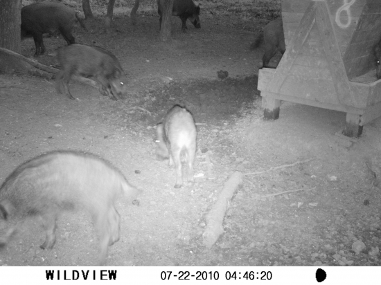 Fotopasca Skerešovo