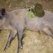 Môj prvý