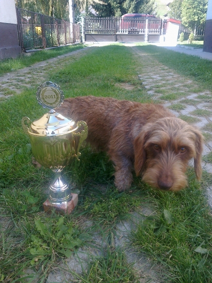 malá veľká šampionka 1,FSMP