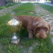 malá veľká šampionka 1,FSMP