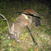 Minuloročný privábený...