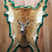 trošku nezvyčajný preparát srnca