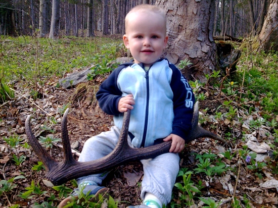Odmalička sa trnik ostrí aby na starost bol bystry