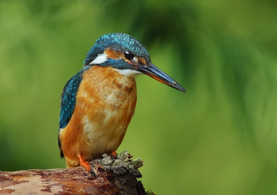 Rybarik, moj prvy :)