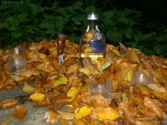 Privítanie na chate