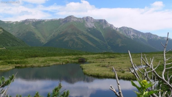 Pohľad na Belianske Tatry