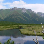 Pohľad na Belianske Tatry