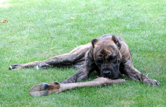 seznámení z pachem vysoké...