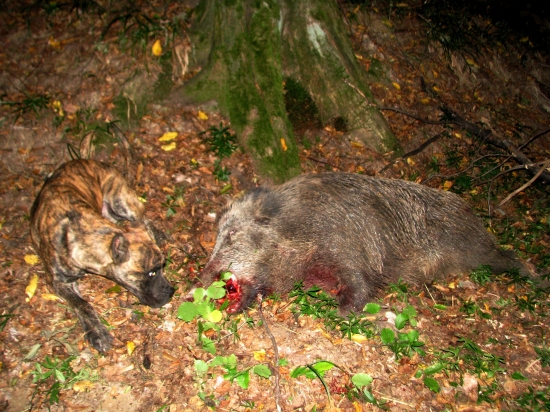 poznáváme nové vůně...