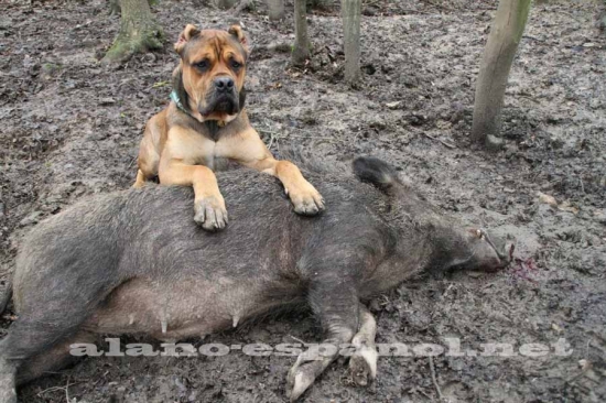 bratr co skončil ve francii