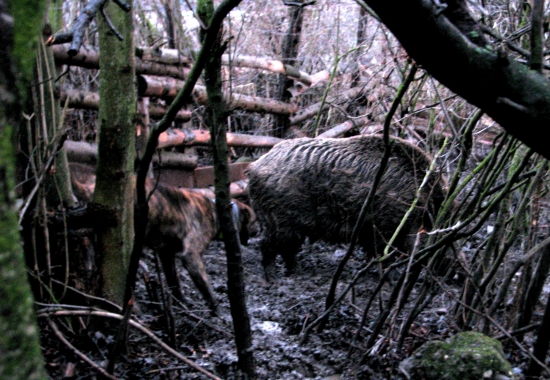 seznamujeme sa s prací...