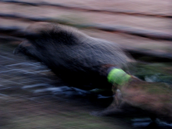 seznamujeme sa s prací...2