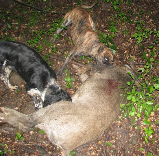 jak vysvětlit, že sem zaspal do práce-((((