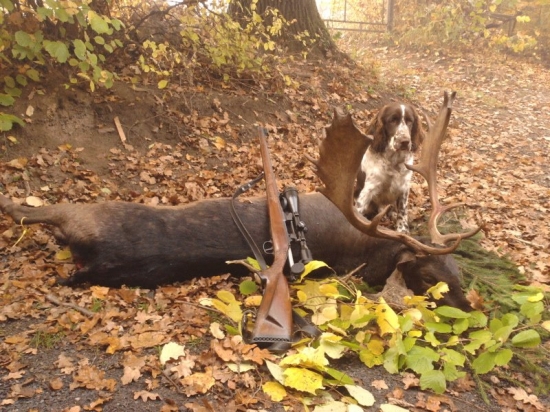 štěně sa má u nového pána dobře...