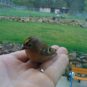 co to je za pěvce ?....Děkuji