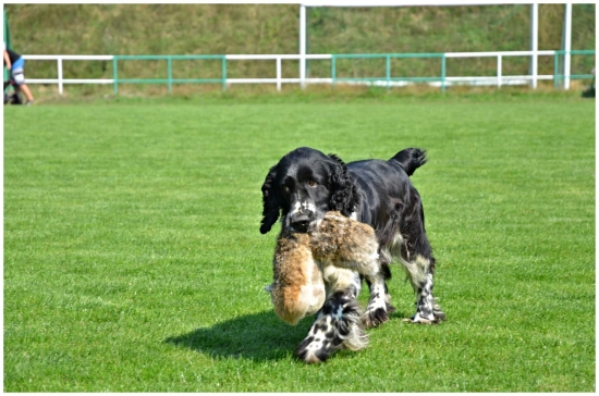 moc na mňa nehleďte...dětský den Havřice