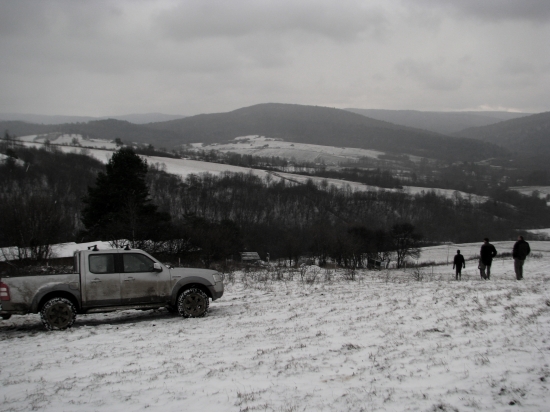 karpaty...domov vlčků....