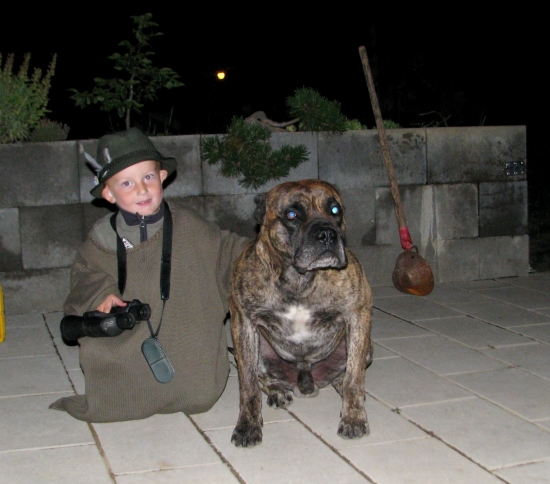 návrat s čekané...