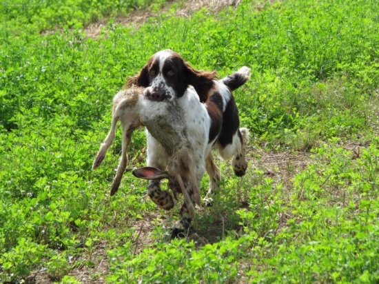 tak eště jedna ostřejší z výcviku