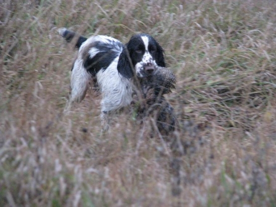 trénink za každého počasí