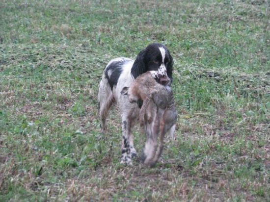 trénink za každého počasí