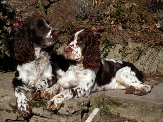 příbuzní z Bavorska