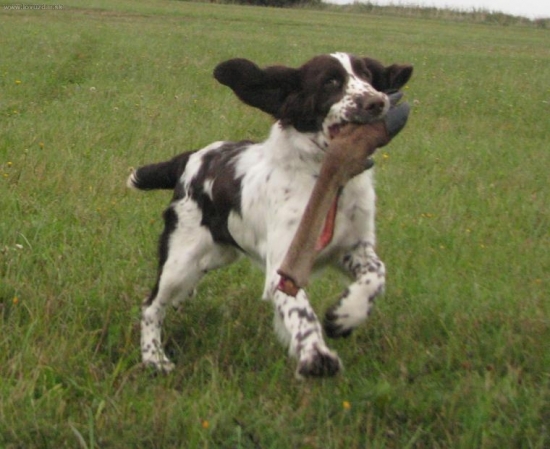 nedoostřené-bohužel