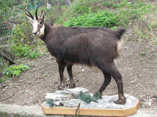 Tondova robota...dá sa hmm-)