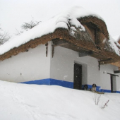 také máme seníky-)