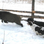 zpestření neděle...