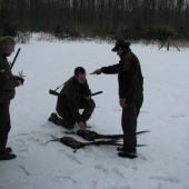 královák pasování