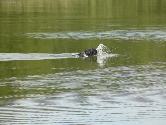 neutečeš kačeno !!!