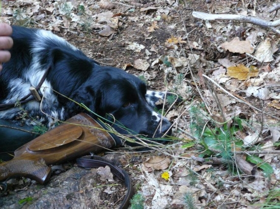 čekání je dlůhé...