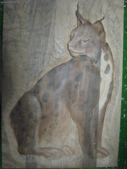 rozpracovaný kocůr....