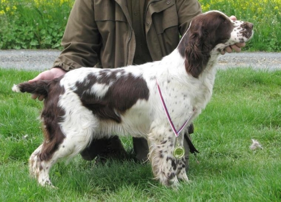 krajská výstava Zlín