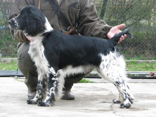 ceruška se nám vcelku vyvedla...