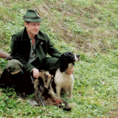 archiv - zadávený jazvec