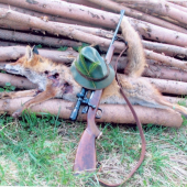 archiv-stříbrný lišák,13 kg po zimě