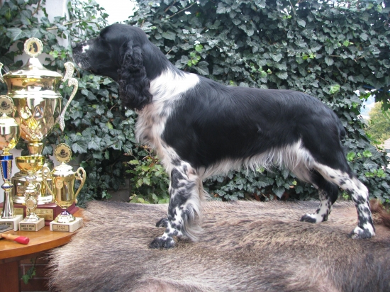 pár pohárků ze zkoušek