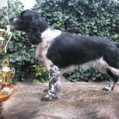 pár pohárků ze zkoušek