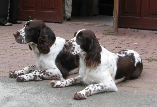 setkání po dvou letech