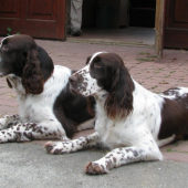 setkání po dvou letech